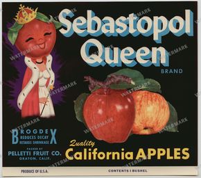 Ads Vintage Prints