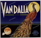 Ads Vintage Prints