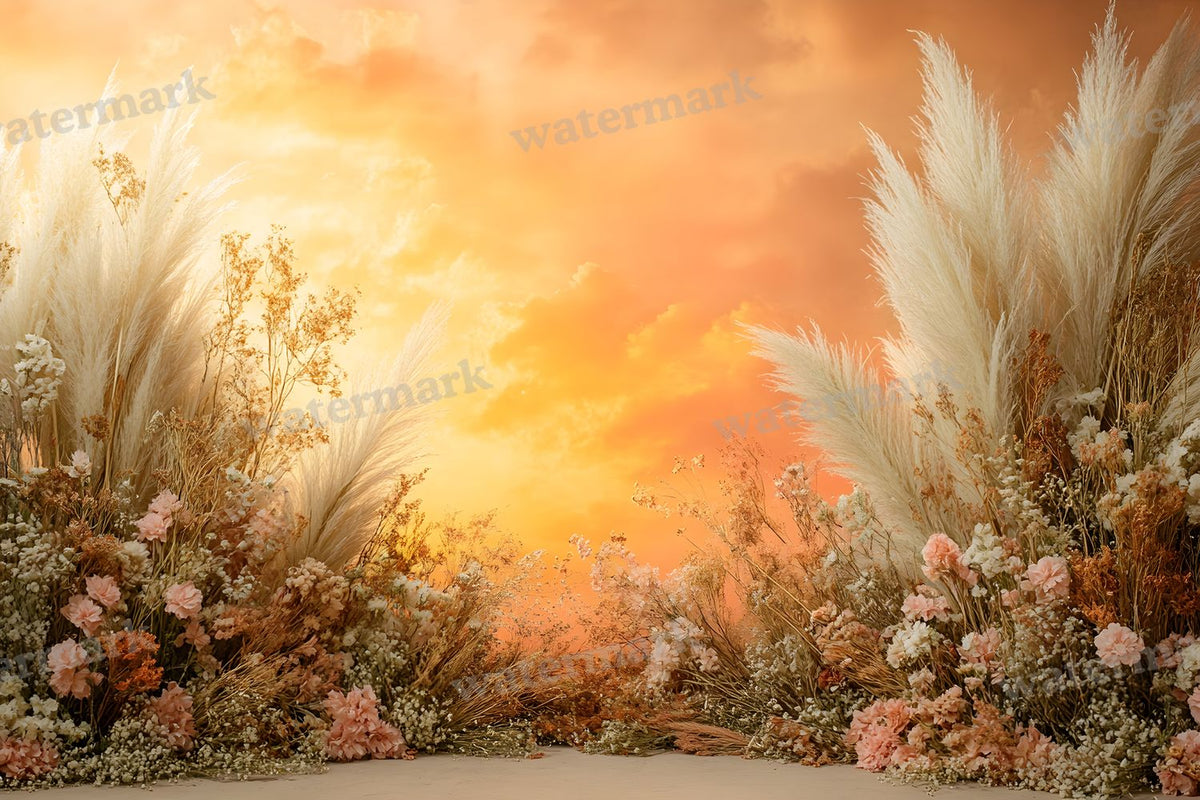Boho Sunset Arch Backdrop Images