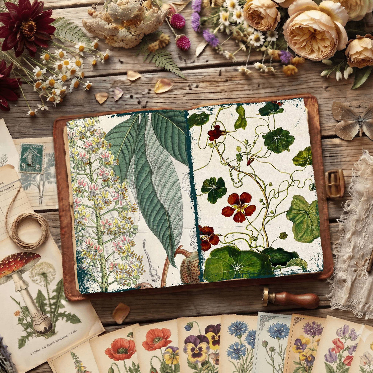 Botanical Illustrations Digital Papers