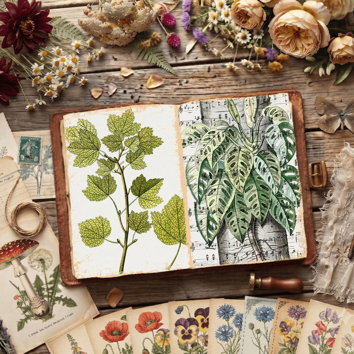 Botanical Illustrations Digital Papers
