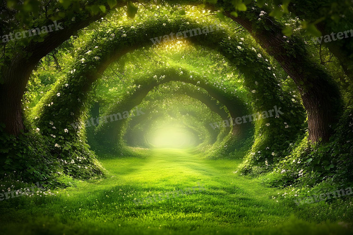 Enchanted Forest Backdrop Images