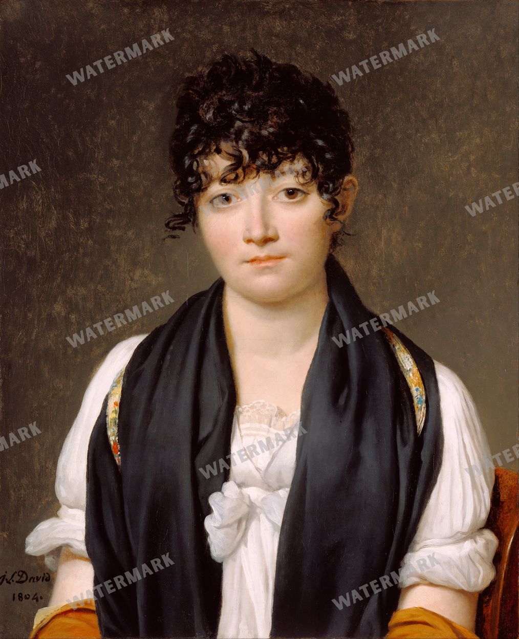 Jacques Louis David Vintage Paintings