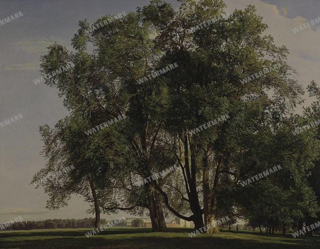 Landscapes Vintage Paintings