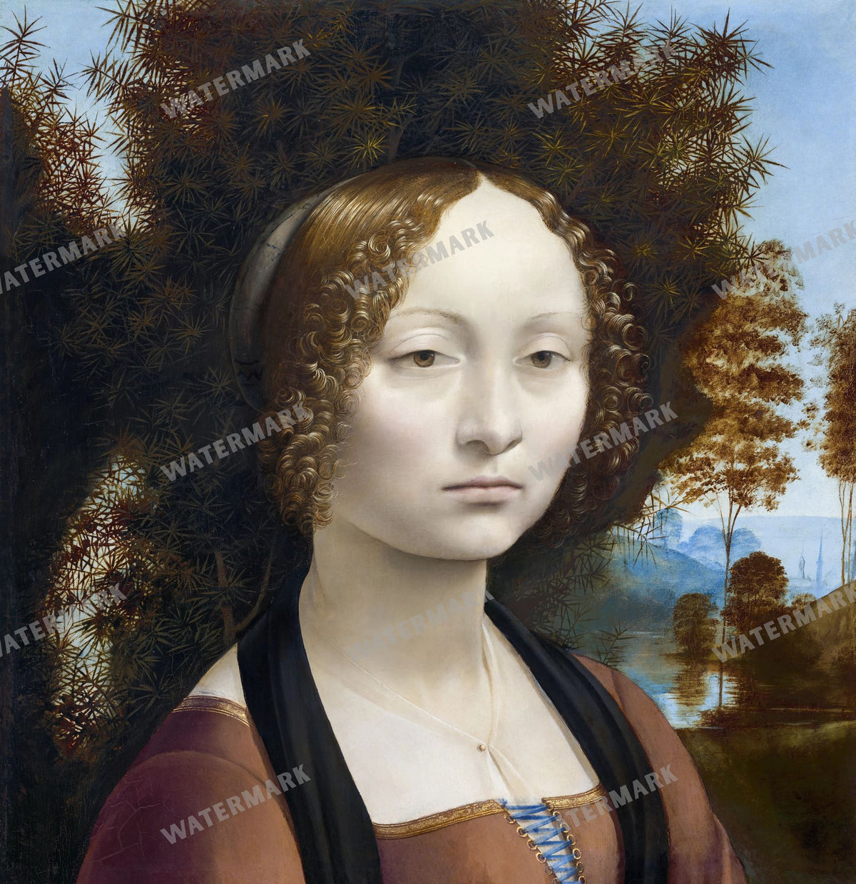 Leonardo Da Vinci Vintage Paintings