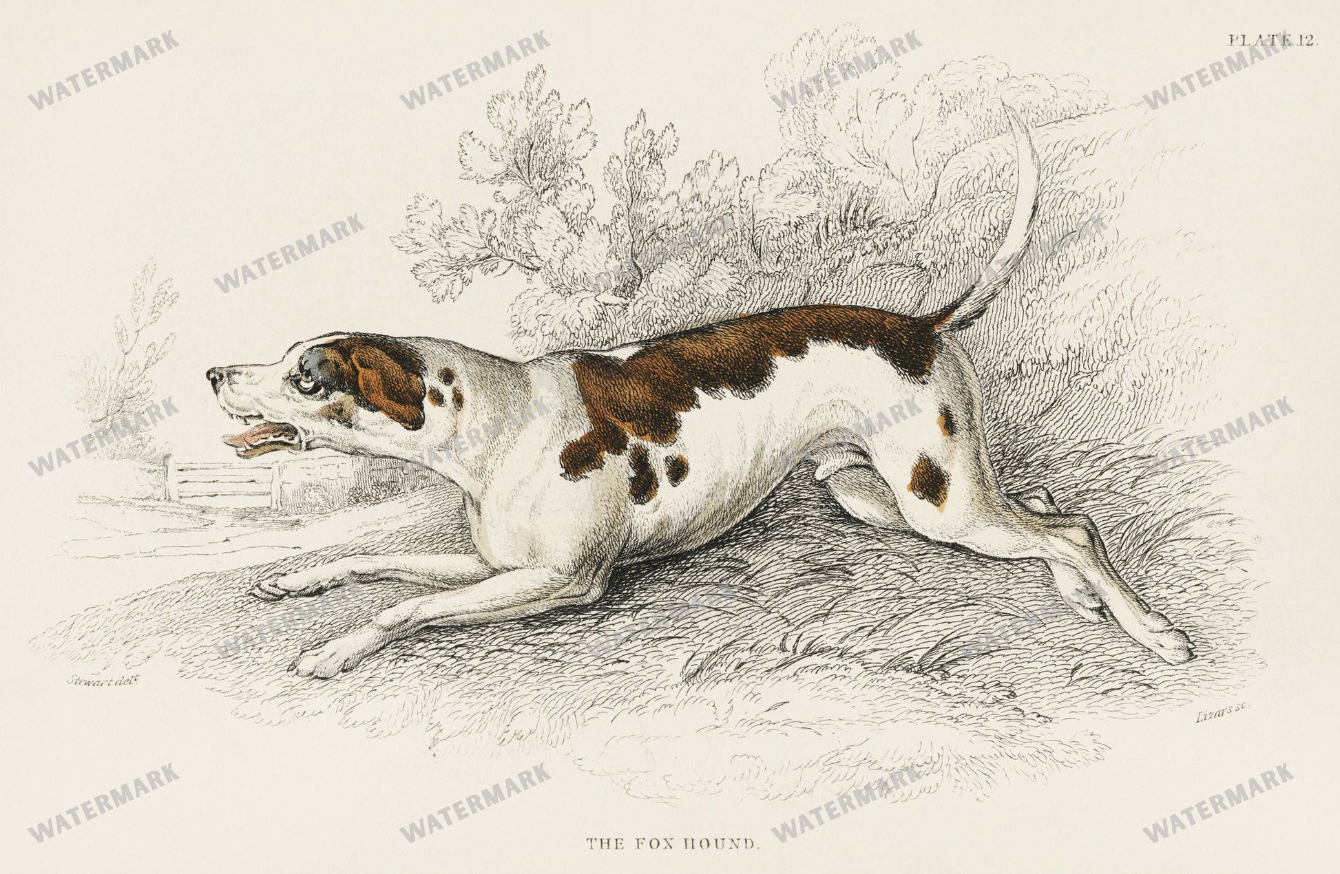 Lithographs Vintage Paintings