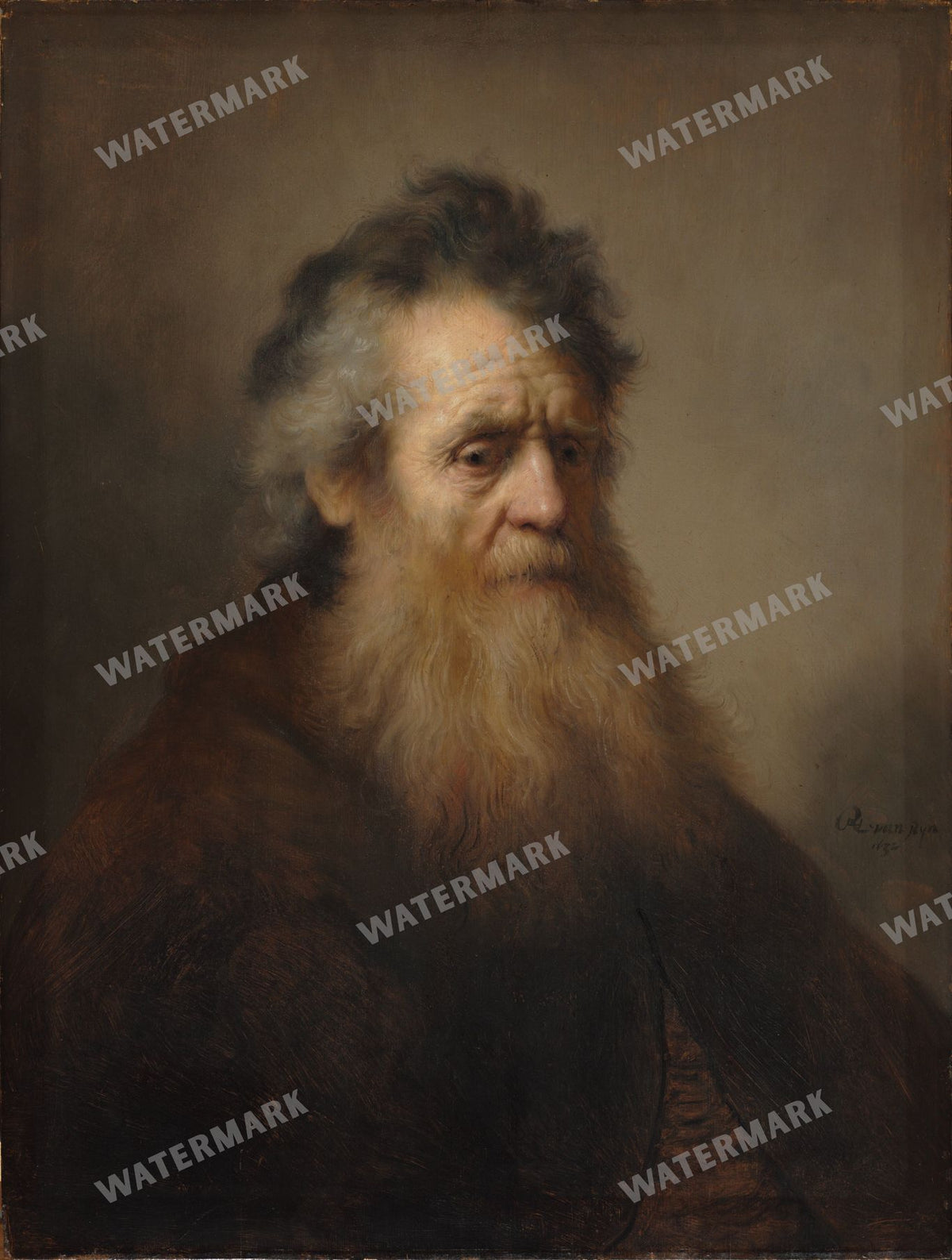Rembrandt Van Rijn Vintage Paintings