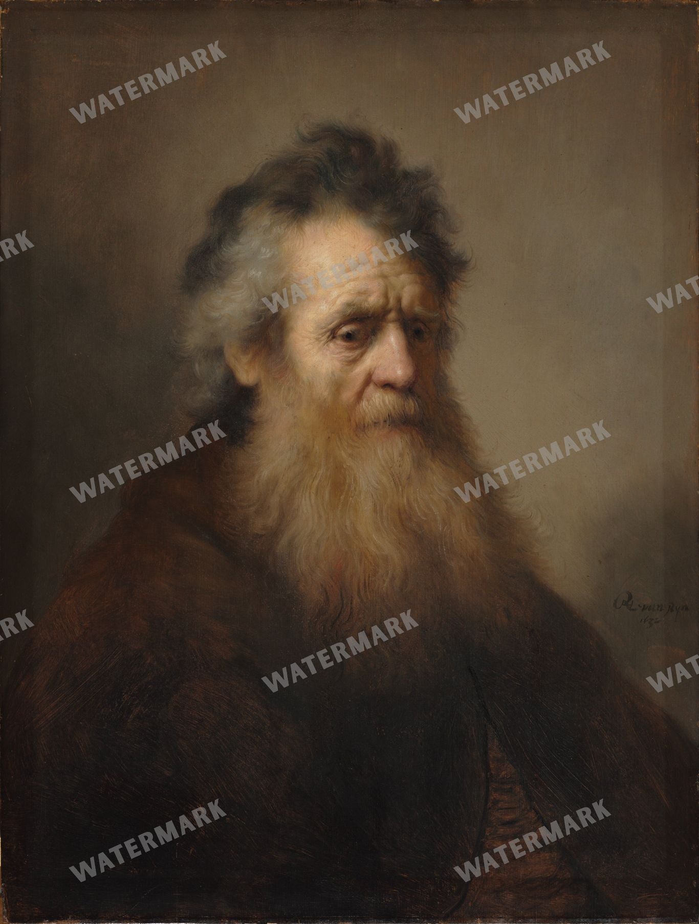 Rembrandt Van Rijn Vintage Paintings