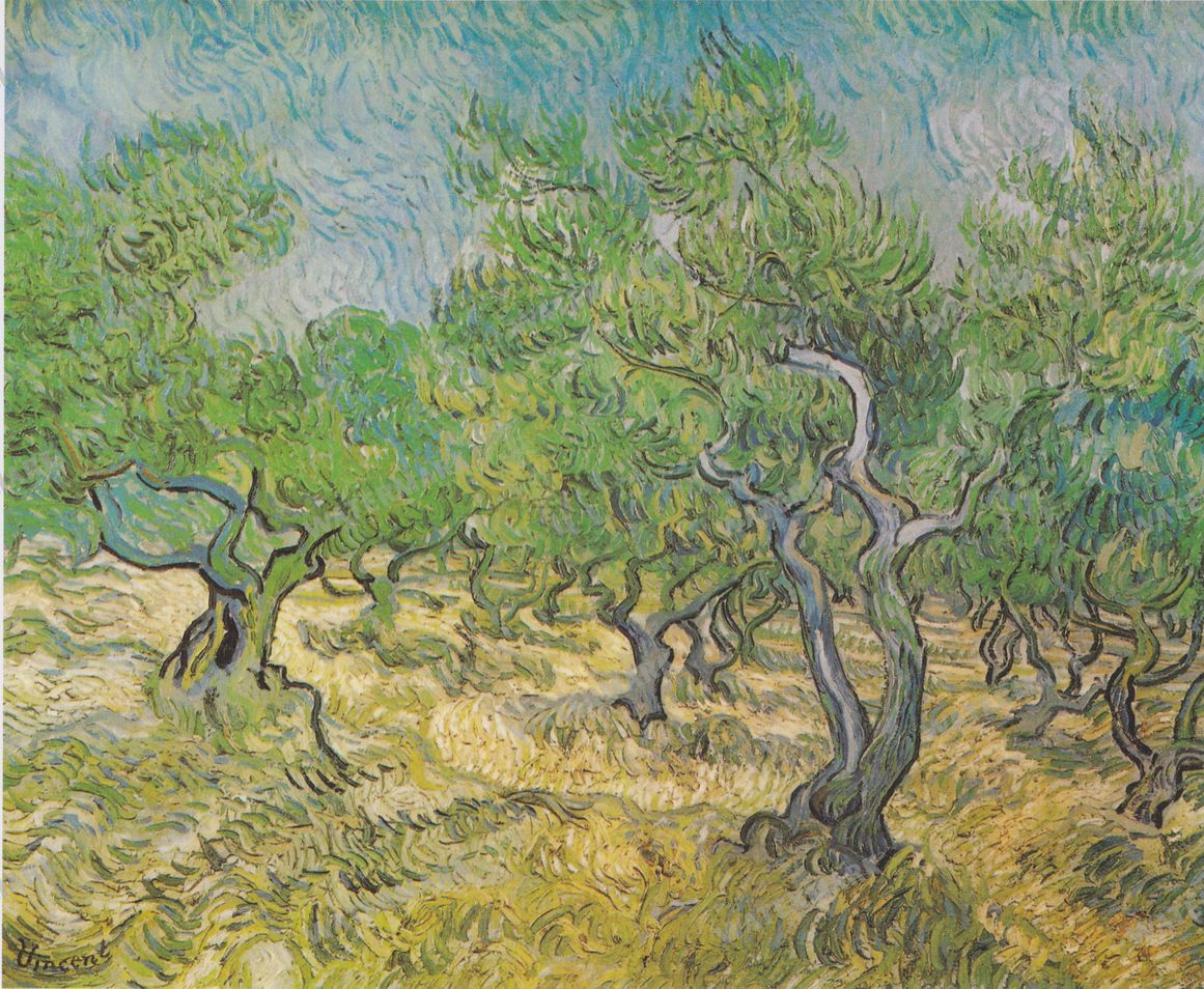 Vincent Willem Van Gogh Vintage Paintings