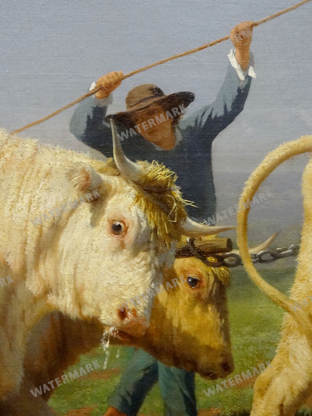 Wall Art Vintage Paintings