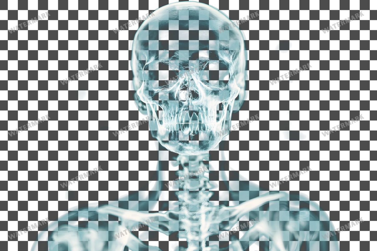 X-Ray Transparent Overlay Pngs