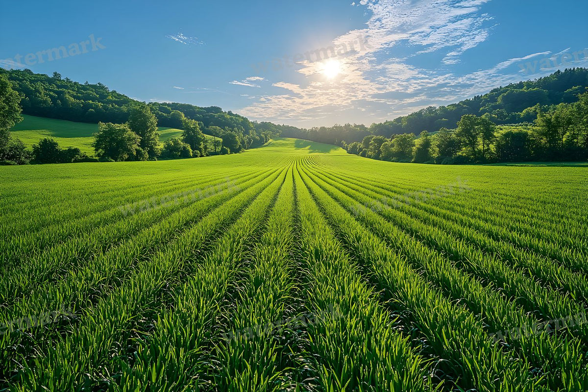 Sporty Natural Field Serene Backdrop Images