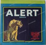 Ads Vintage Prints