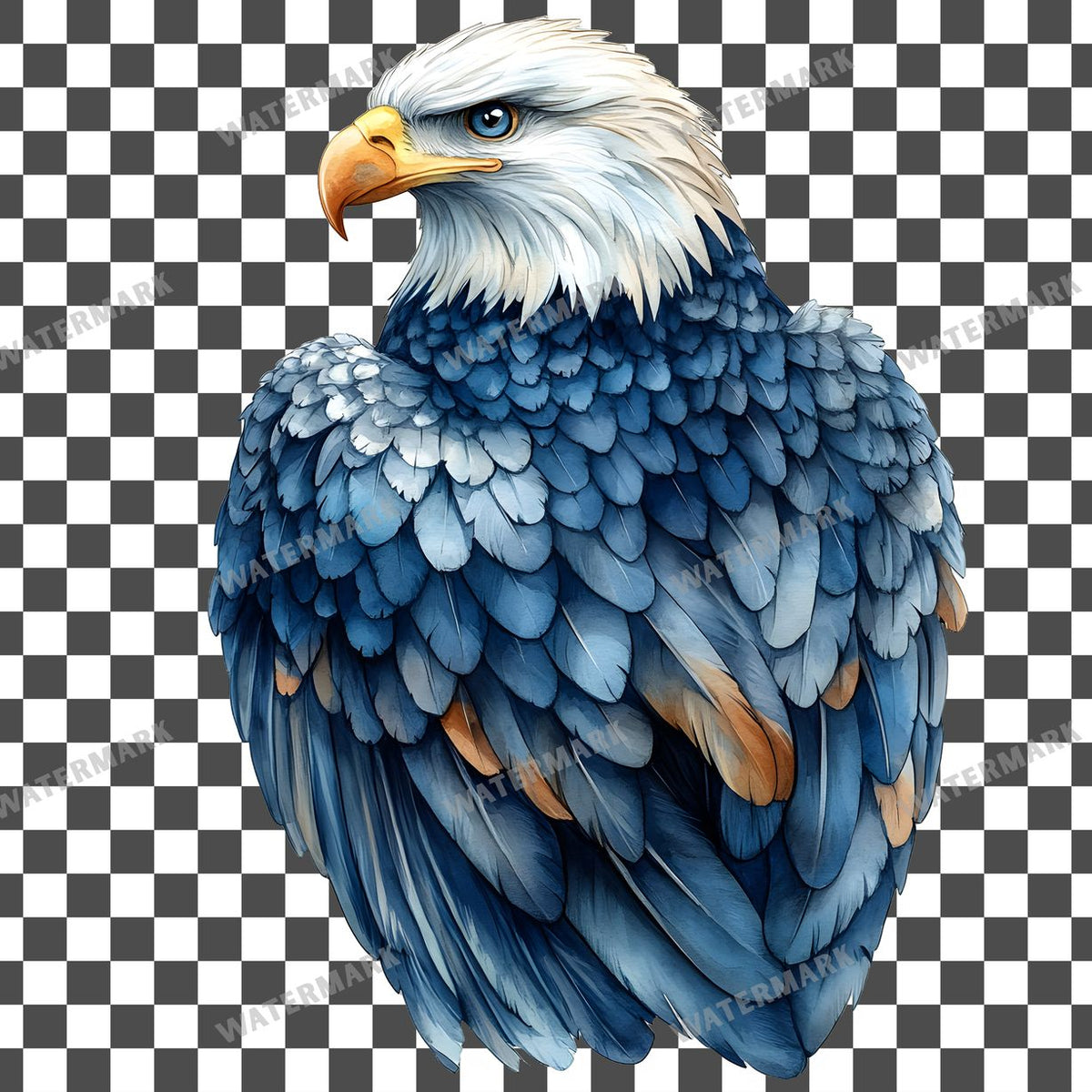 Animals Clipart Pngs