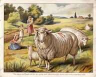 Animals Vintage Prints