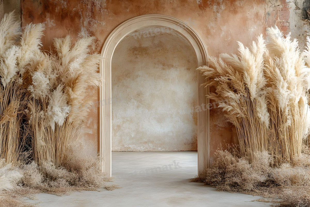 Boho Beige Arch Backdrop Images