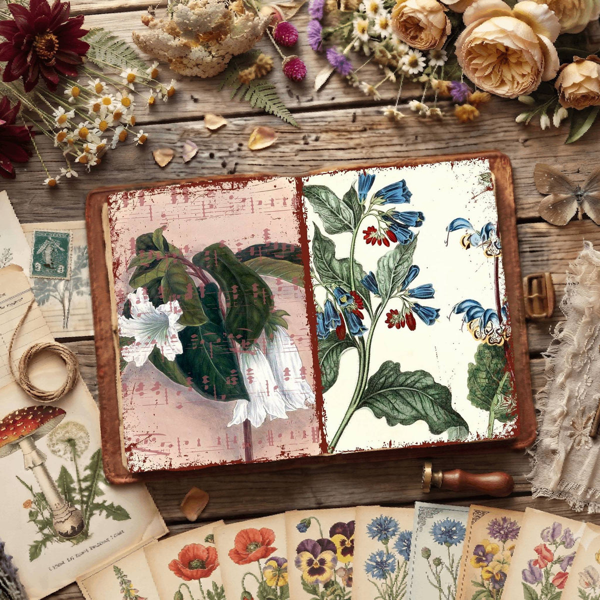 Botanical Illustrations Digital Papers