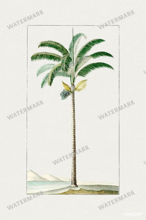 Botanical Vintage Prints