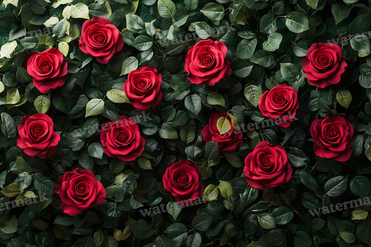 Burgundy Rose Arrangement Backdrop Images