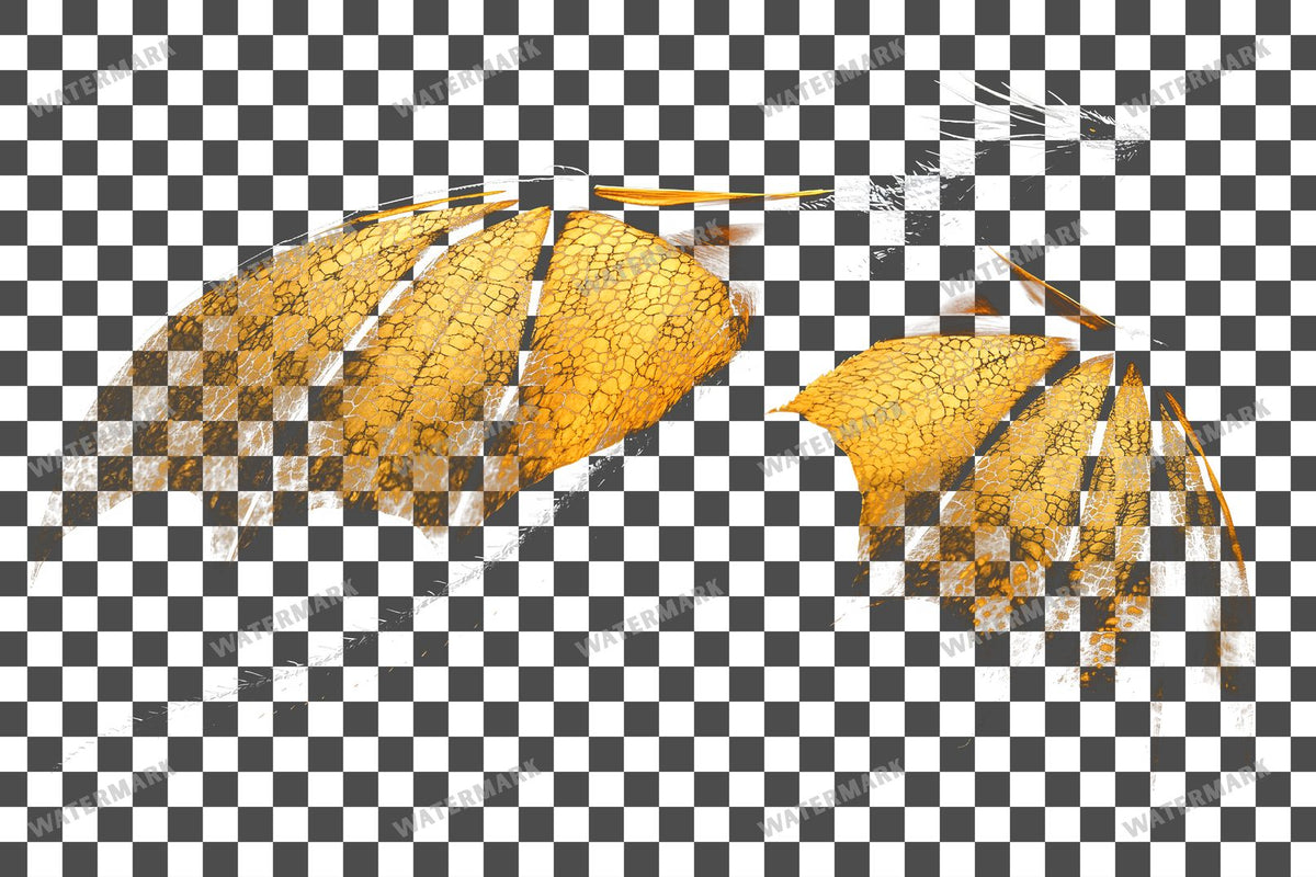 Dragon Silhouette Transparent Overlay Pngs
