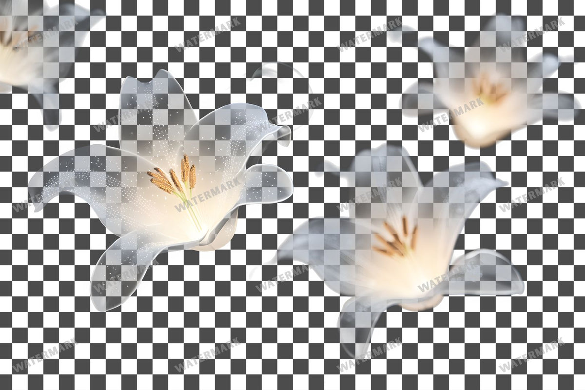 Easter Lilies Transparent Overlay Pngs