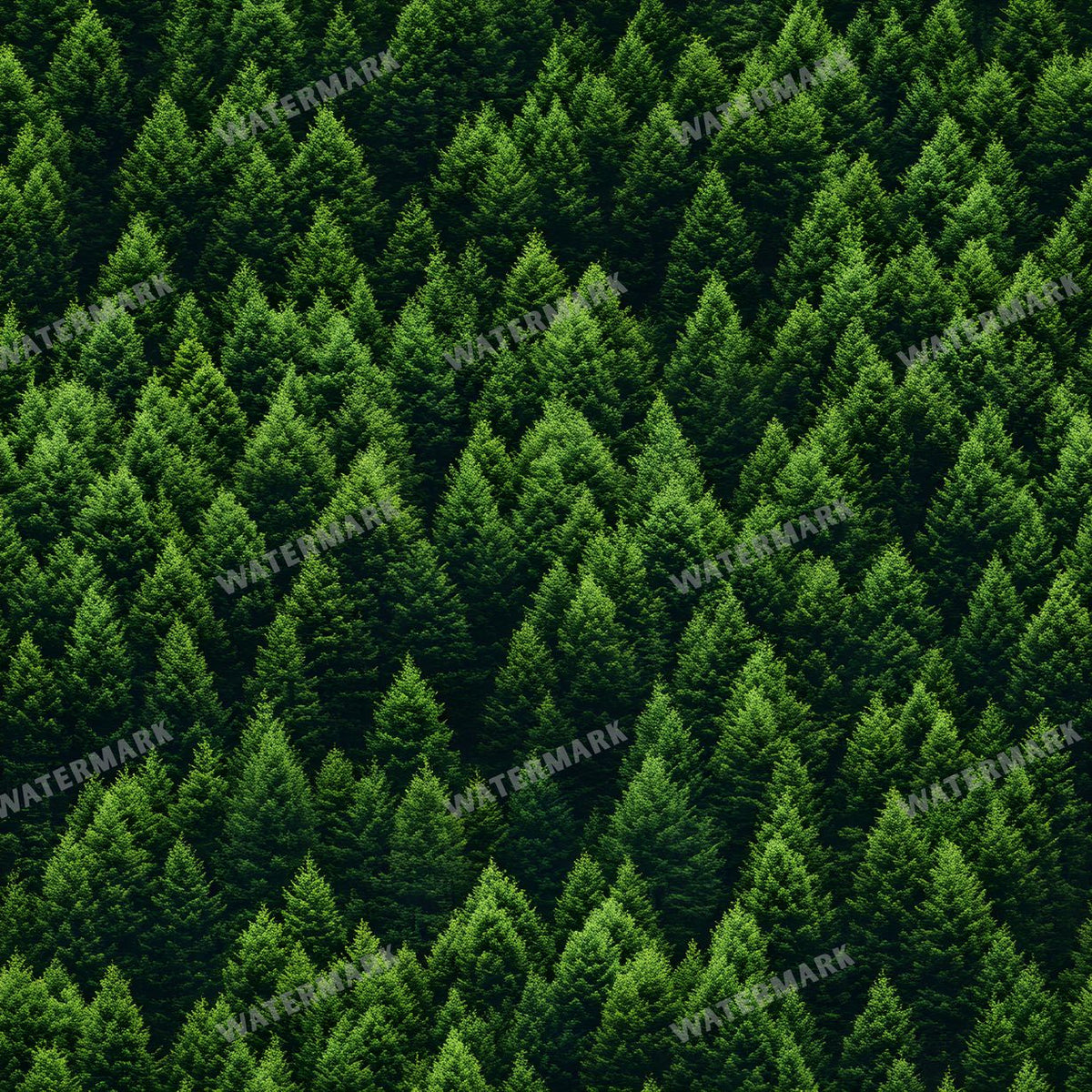 Forest Seamless Pattern