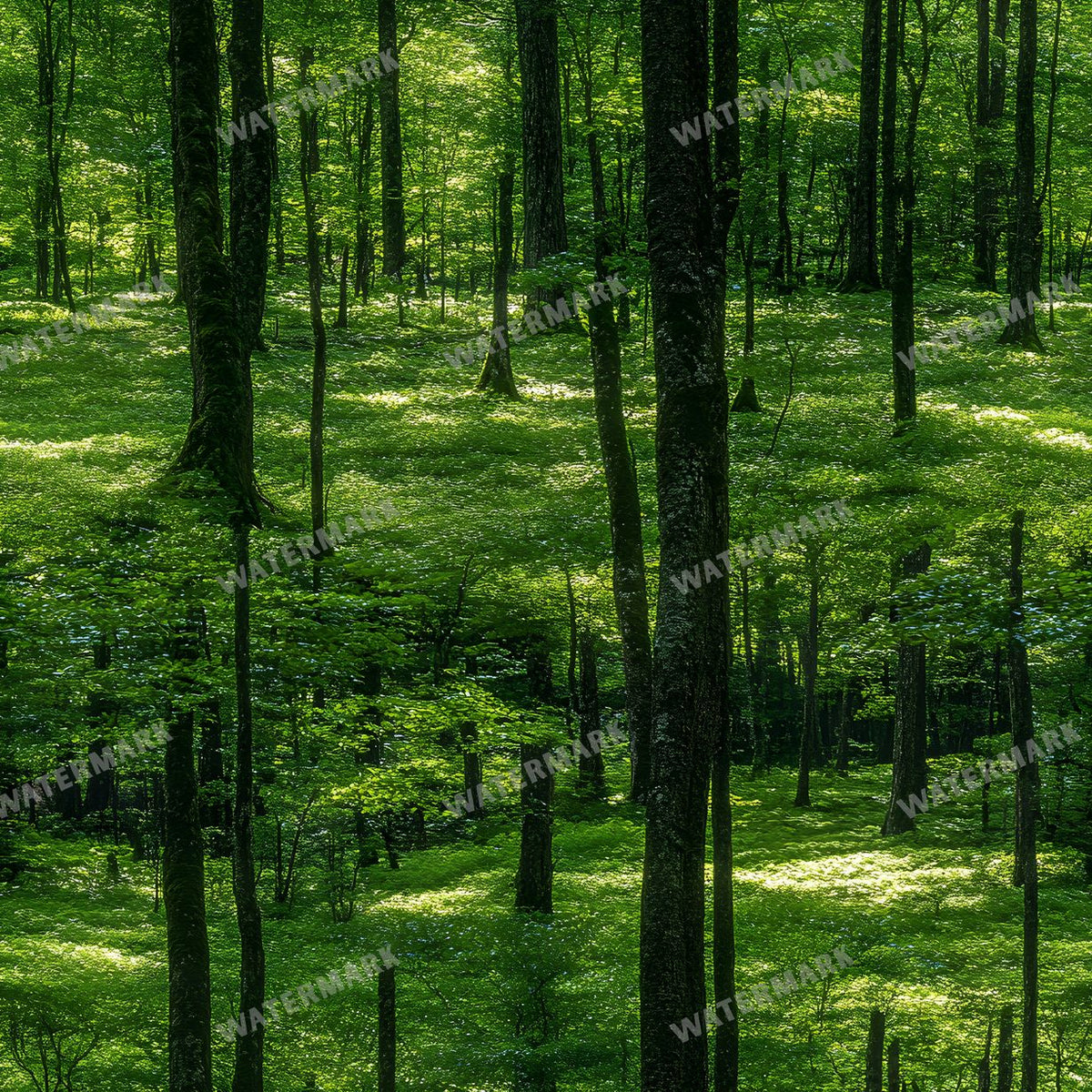 Forest Seamless Pattern