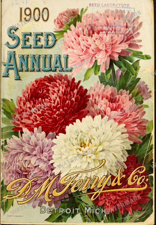 Fruit And Vegetables Vintage Prints