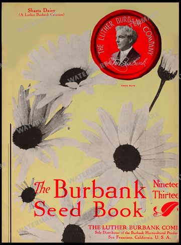 Mixed Ephemera Vintage Prints