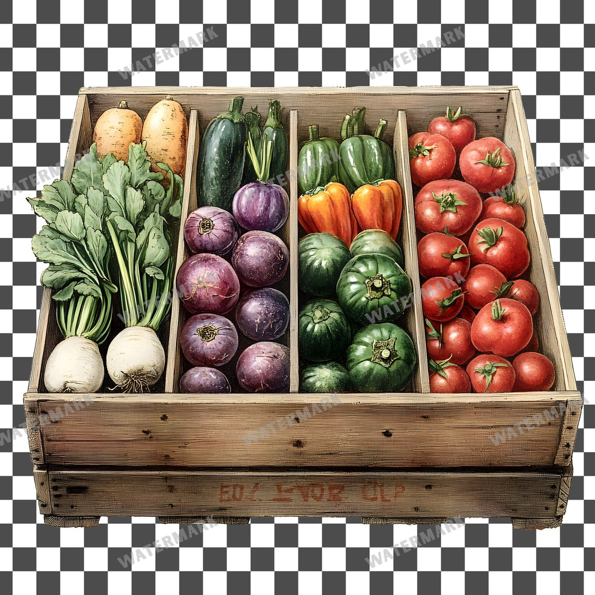 Vegetables Vintage Style Clipart Pngs