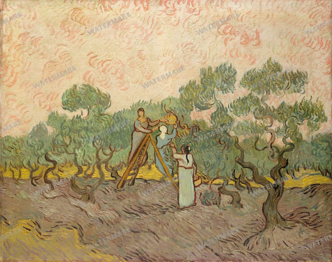Vincent Willem Van Gogh Vintage Paintings