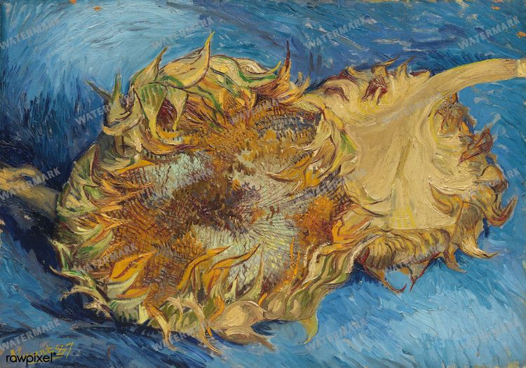 Vincent Willem Van Gogh Vintage Paintings