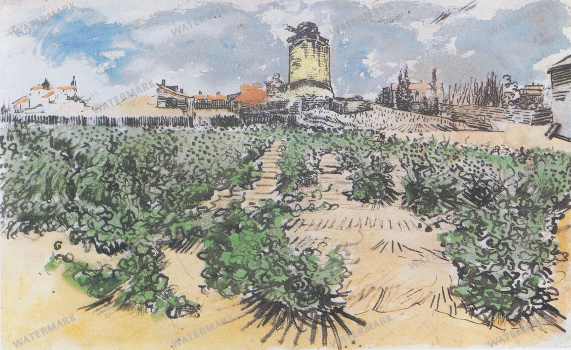Vincent Willem Van Gogh Vintage Paintings