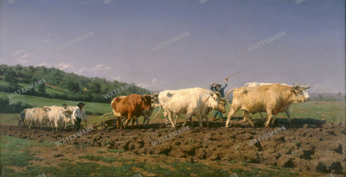Wall Art Vintage Paintings