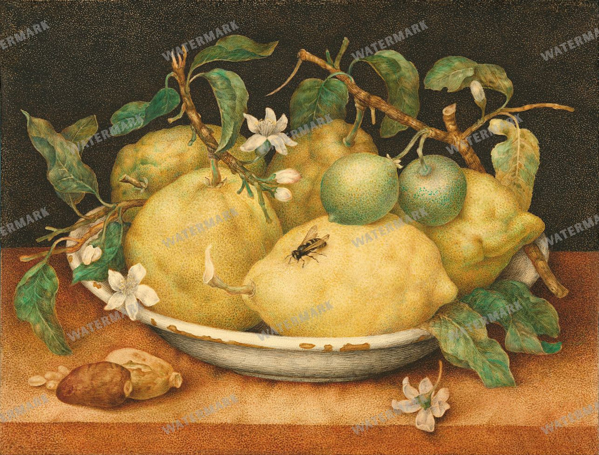 Wall Art Vintage Paintings