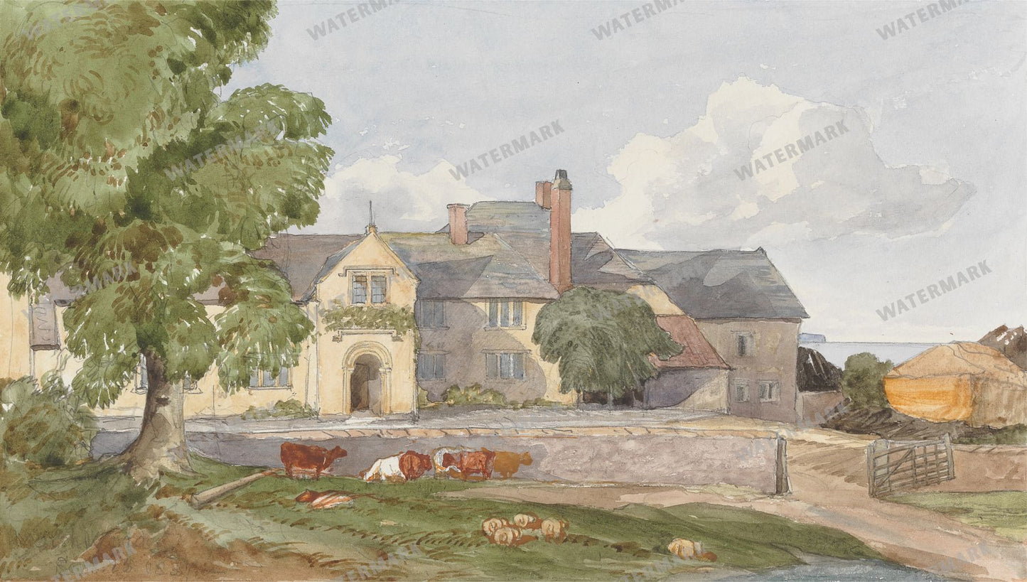 Wall Art Vintage Paintings