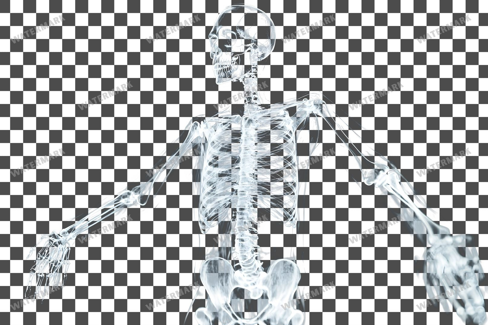 X-Ray Transparent Overlay Pngs