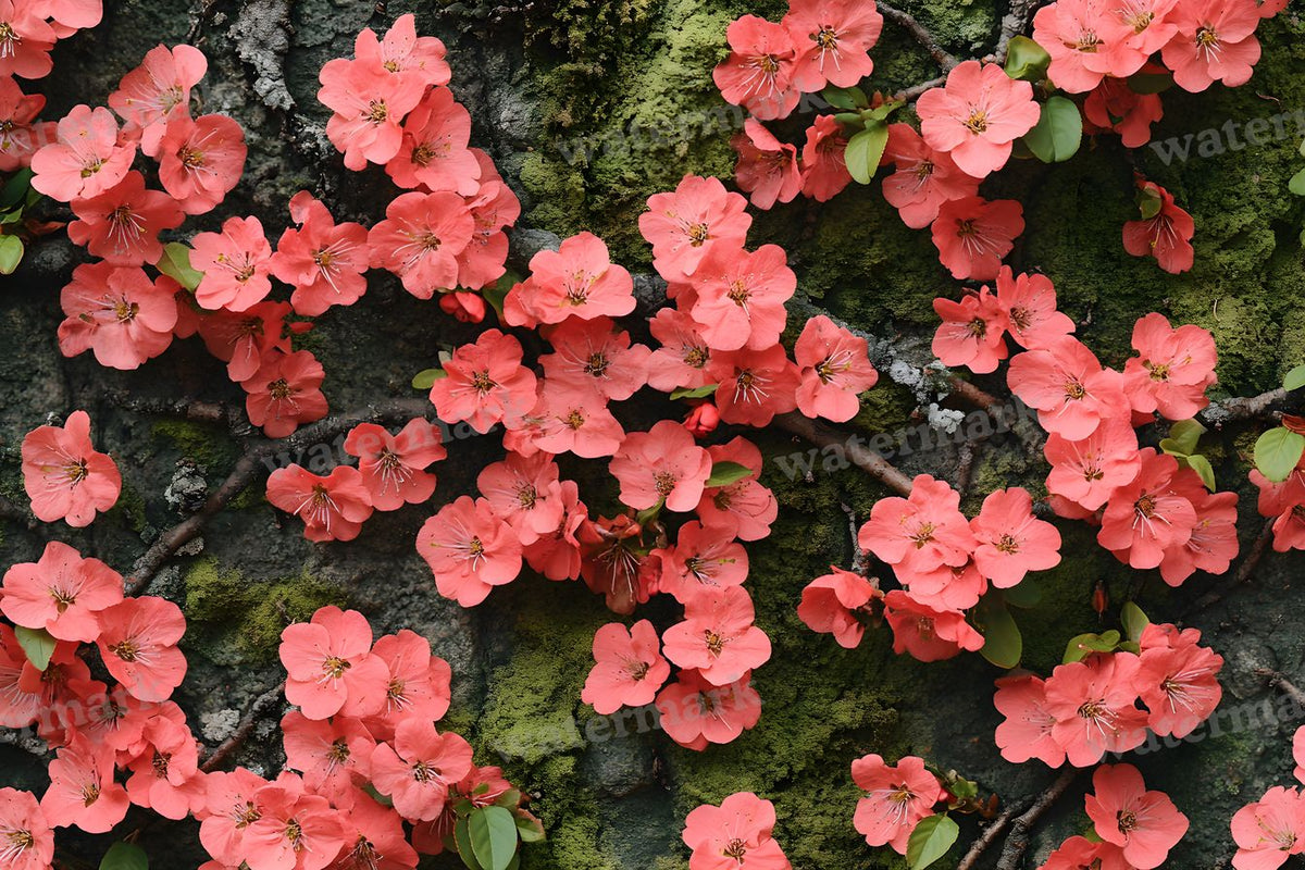 Spring Blossom Escape Backdrop Images
