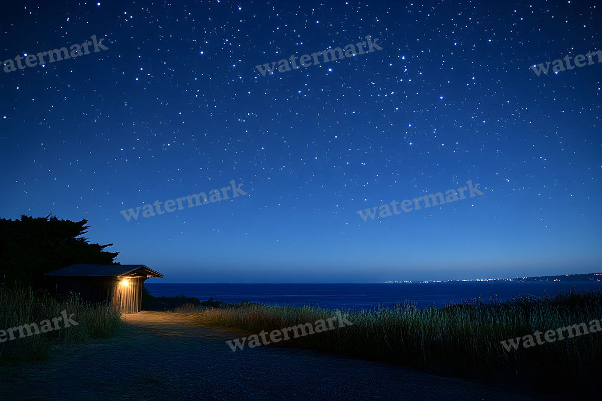 Starry Night digital photo backdrop for photo editing, preview 15