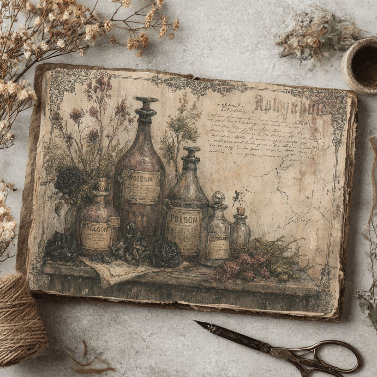 Witchy Gothic Apothecary Journal Paper