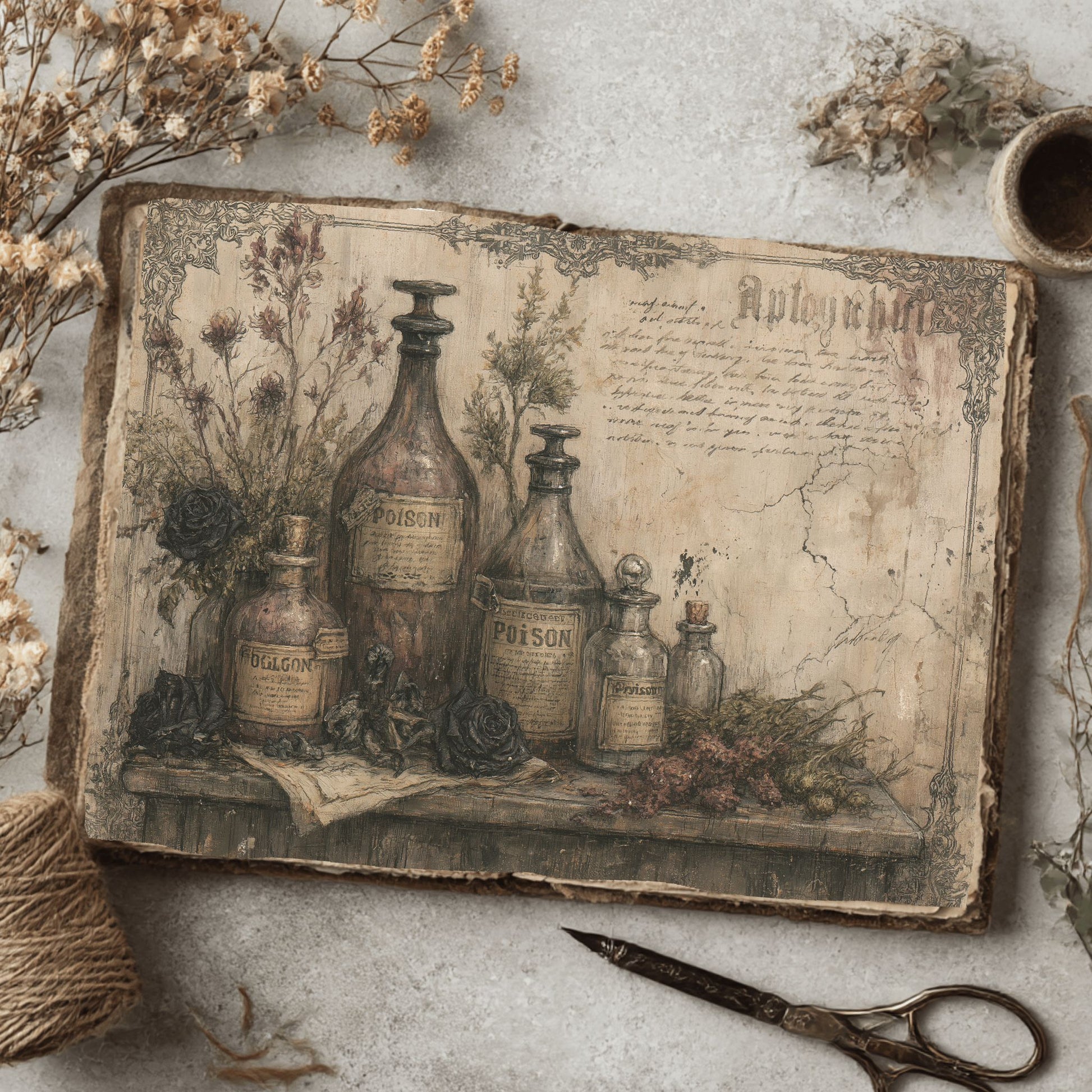 Witchy Gothic Apothecary Journal Paper