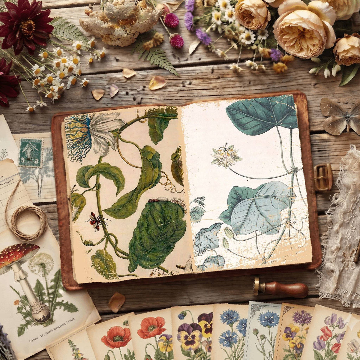 Botanical Illustrations Digital Papers
