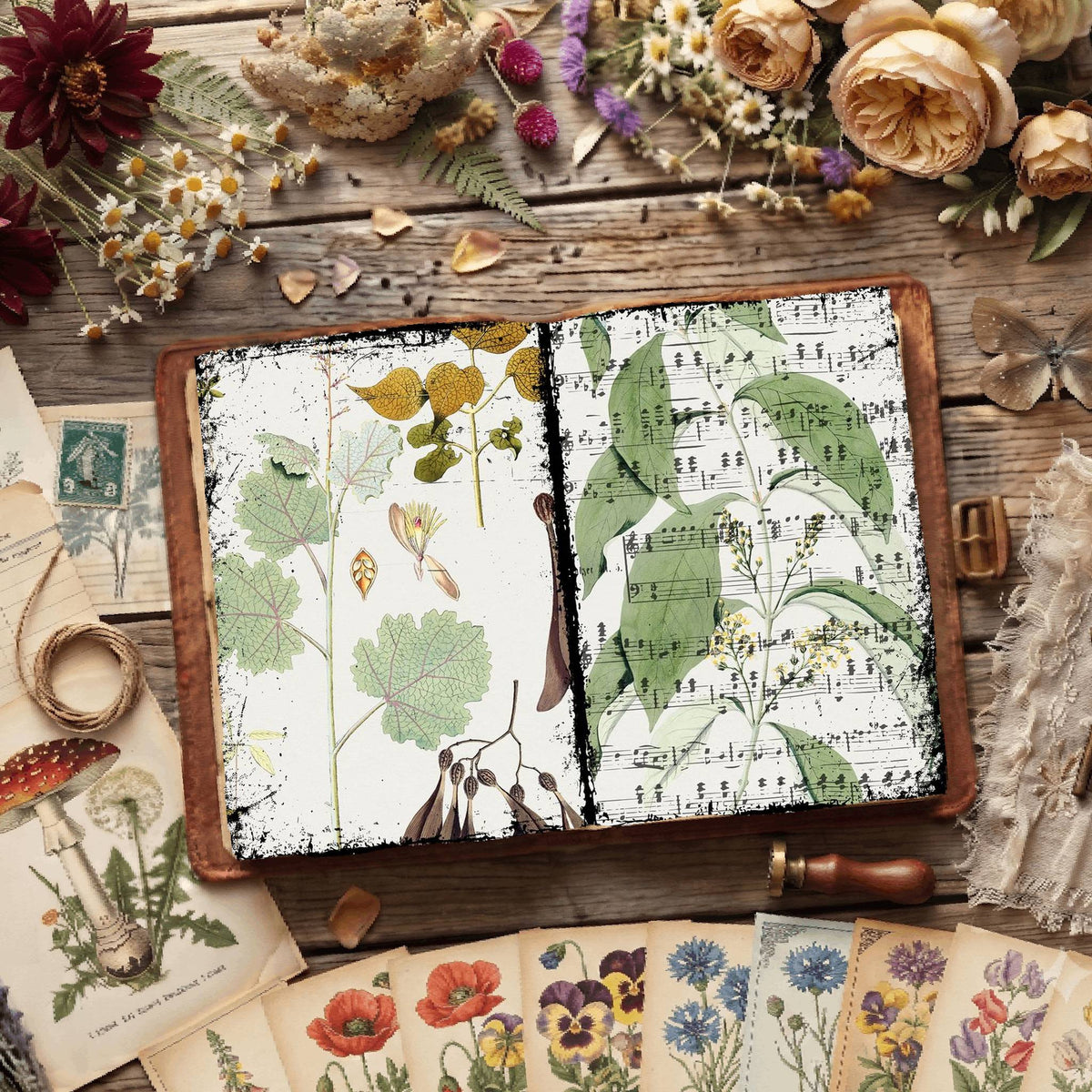 Botanical Illustrations Digital Papers