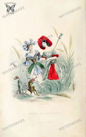 Botanical Vintage Prints