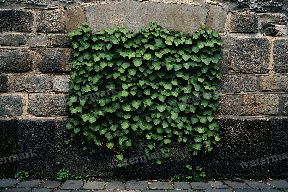 Brown Vintage Textured Wall Backdrop Images