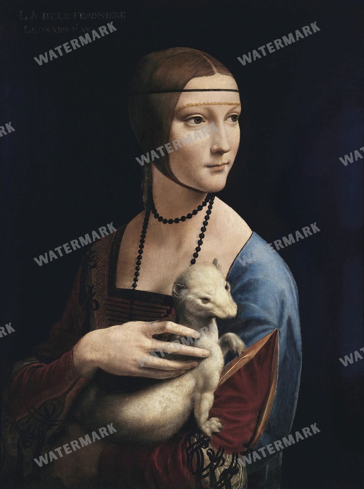 Leonardo Da Vinci Vintage Paintings