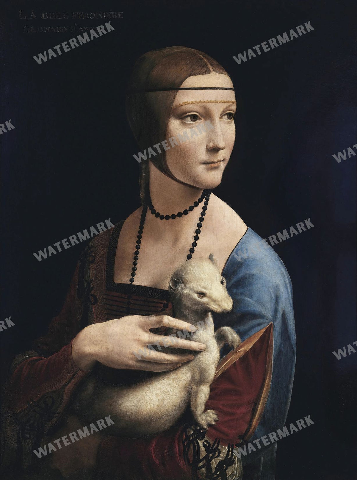 Leonardo Da Vinci Vintage Paintings