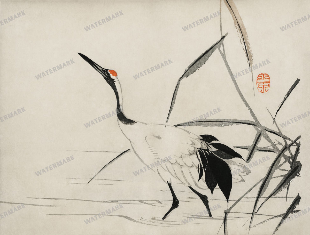 Lithographs Vintage Paintings