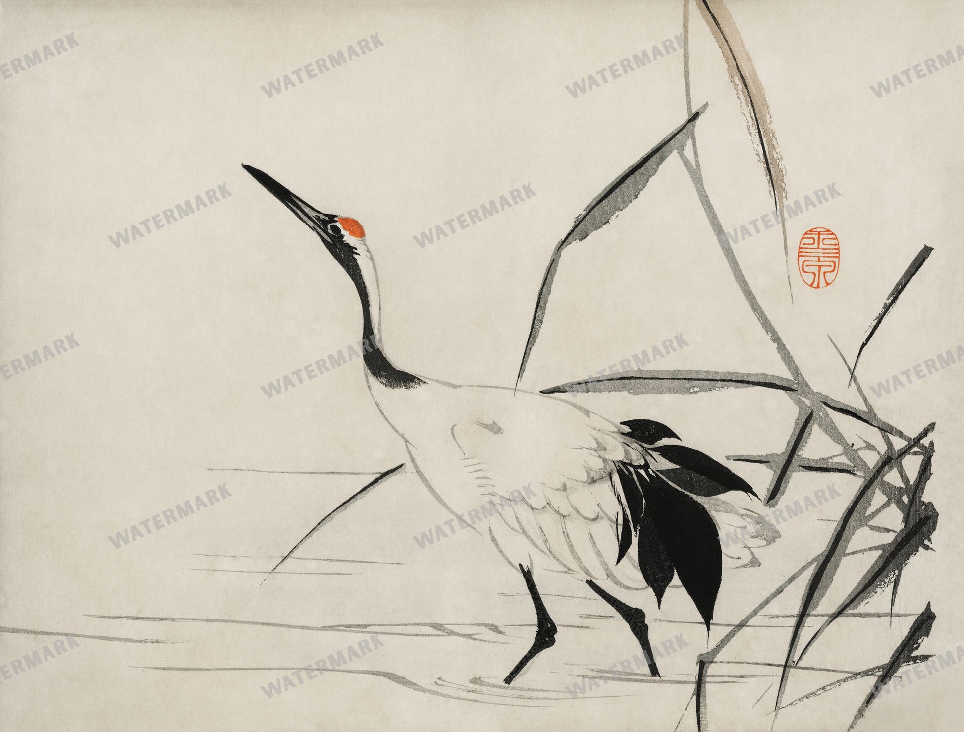Lithographs Vintage Paintings