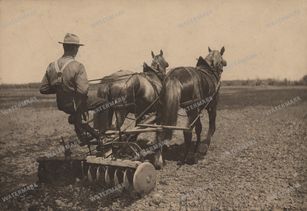 Vintage Photography Vintage Prints